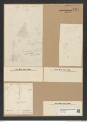 Diatomeae indet. Zeichnungen Sammlung Grunow Nr. 7994 (NHMW-BOT-W0377288)